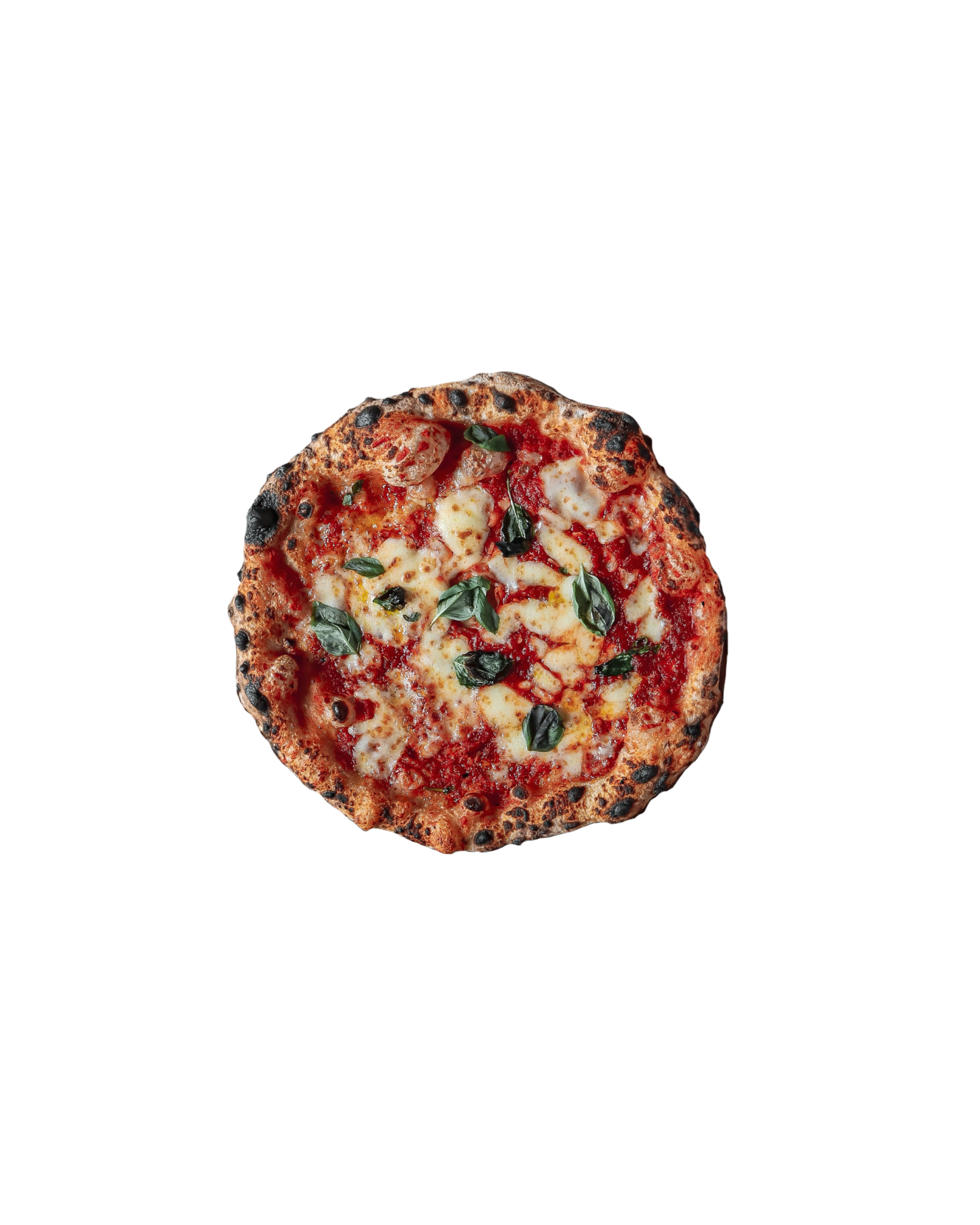 Margherita Napoletana